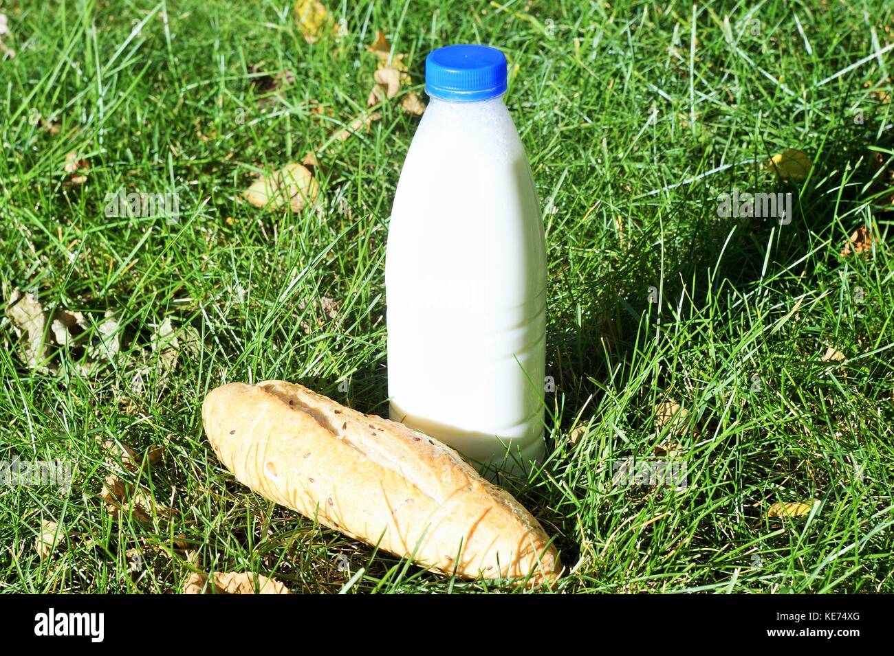 Produits naturels le lait et le pain sur l'herbe Banque D'Images