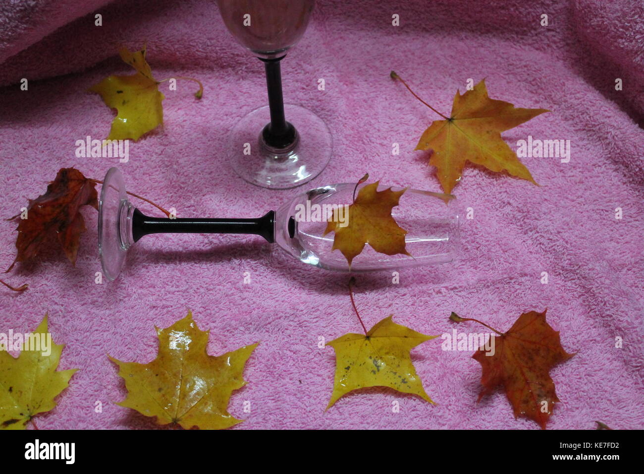 Beau cristal de verre pour vin ou champagne décoré de fleurs et feuilles d'automne Banque D'Images