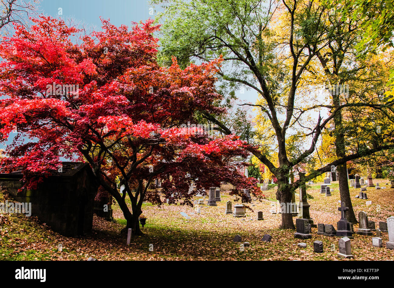 Feuillage de l'automne et de pierres tombales dans le cimetière Vert-bois à Brooklyn, New York Banque D'Images