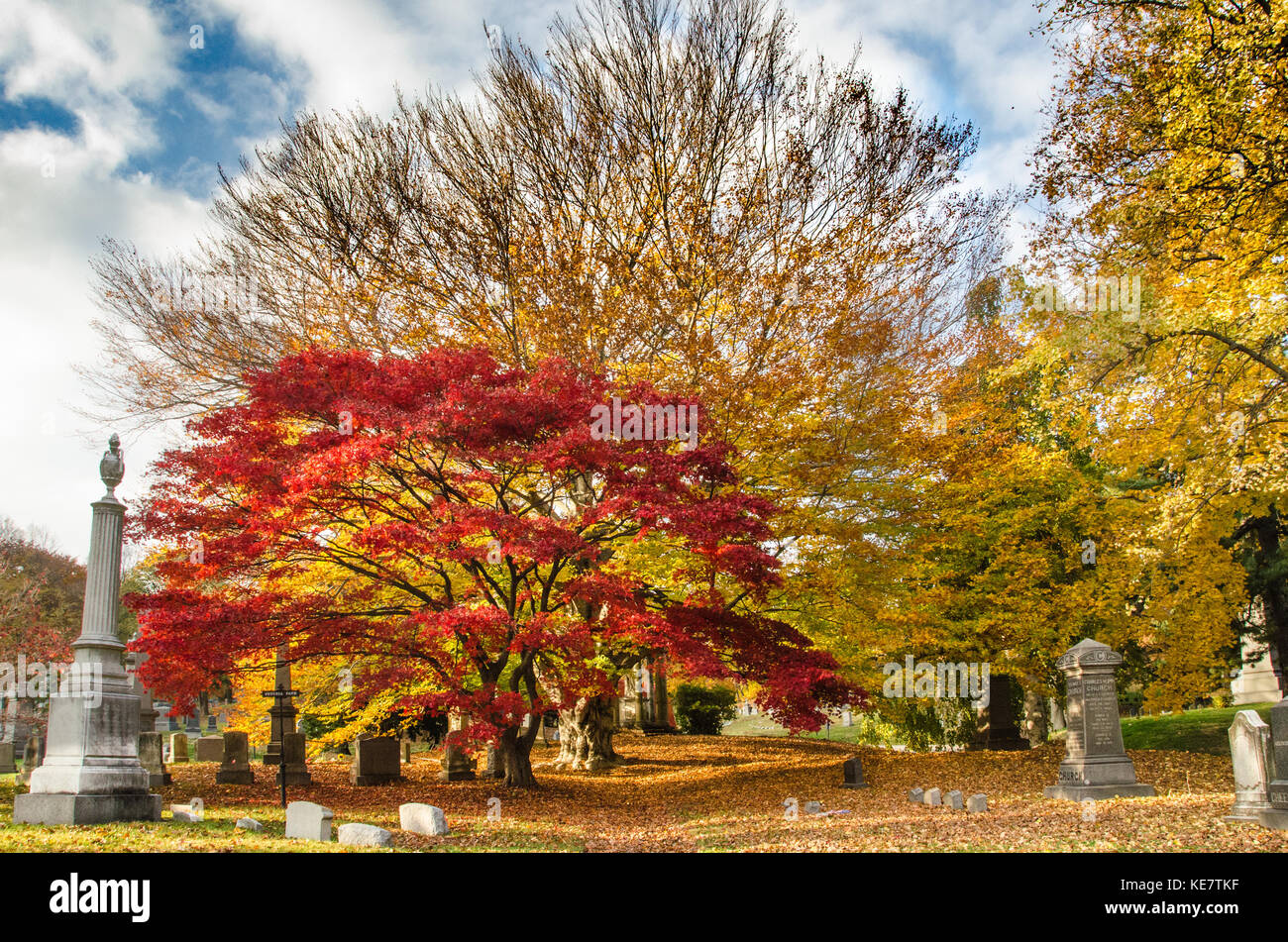 Feuillage de l'automne et de pierres tombales dans le cimetière Vert-bois à Brooklyn, New York Banque D'Images