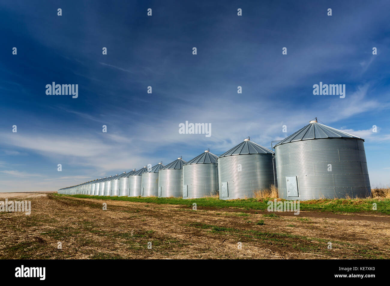 Une longue rangée de cellules à grains en métal brillant reflétant la lumière du soleil avec ciel bleu et nuages ; Beiseker, Alberta, Canada Banque D'Images