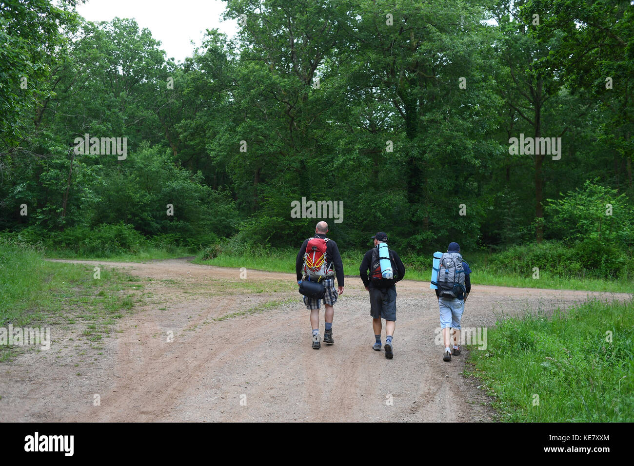 Trois hommes d'âge moyen à pied sur chemin dans une forêt après une nuit de camping sous les étoiles avec pas de tentes dans le désert comme un exercice de collage mâle. Banque D'Images