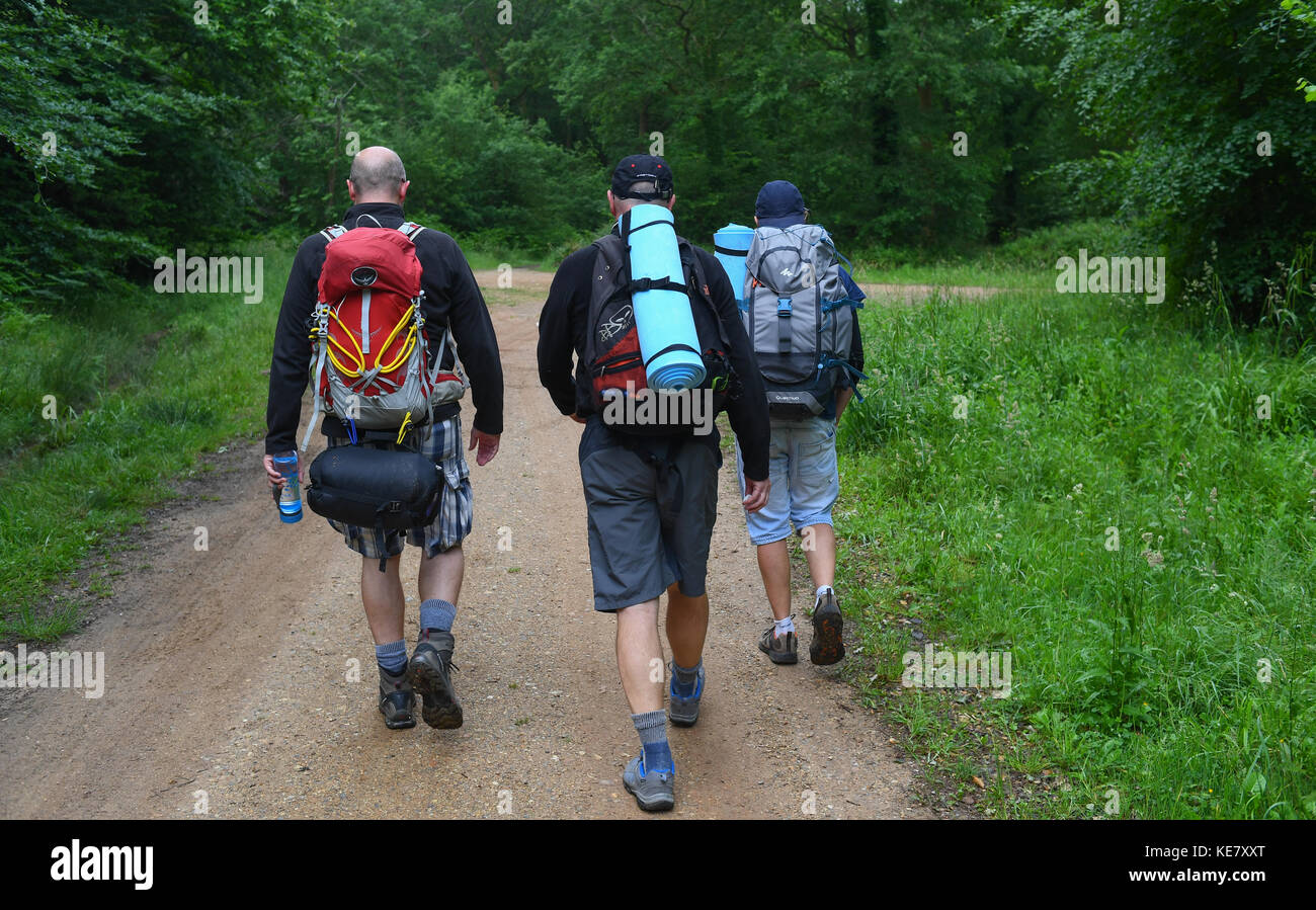 Trois hommes d'âge moyen à pied sur chemin dans une forêt après une nuit de camping sous les étoiles avec pas de tentes dans le désert comme un exercice de collage mâle. Banque D'Images