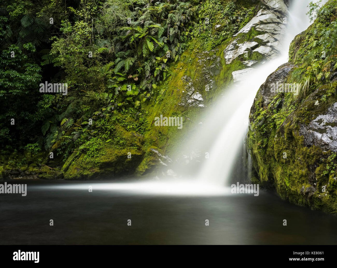 Dorothy Falls, une cascade de plus de mousse verte avec des falaises couvertes d'une végétation luxuriante, le lac Kanerie, côte ouest de l'île du Sud, Côte Ouest, Nouvelle-Zélande Banque D'Images