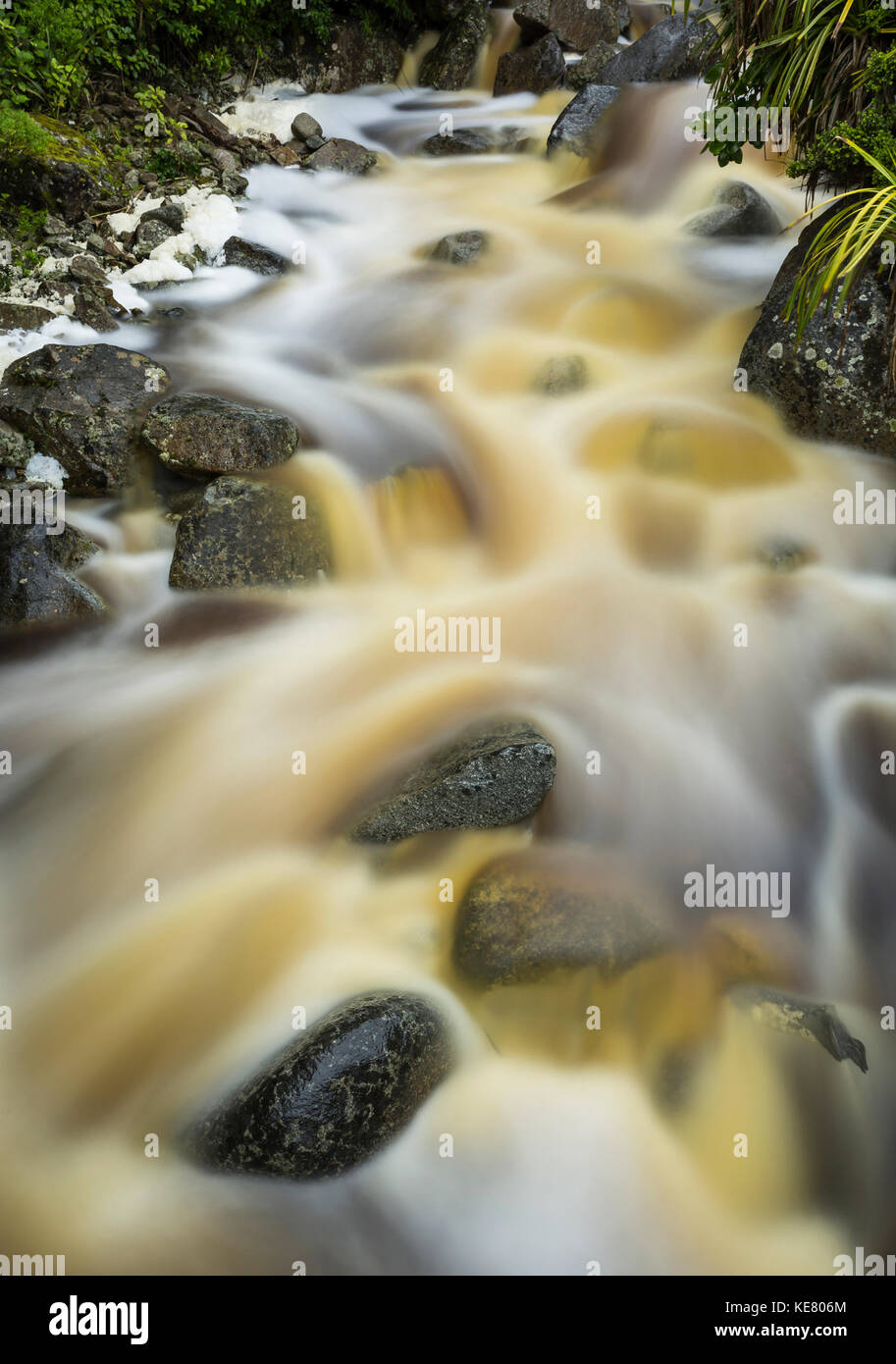 Belle Karamea en cascade ruisseau avec de l'eau entouré par misty New Zealand native plants ; Karamea, Nouvelle-Zélande Banque D'Images