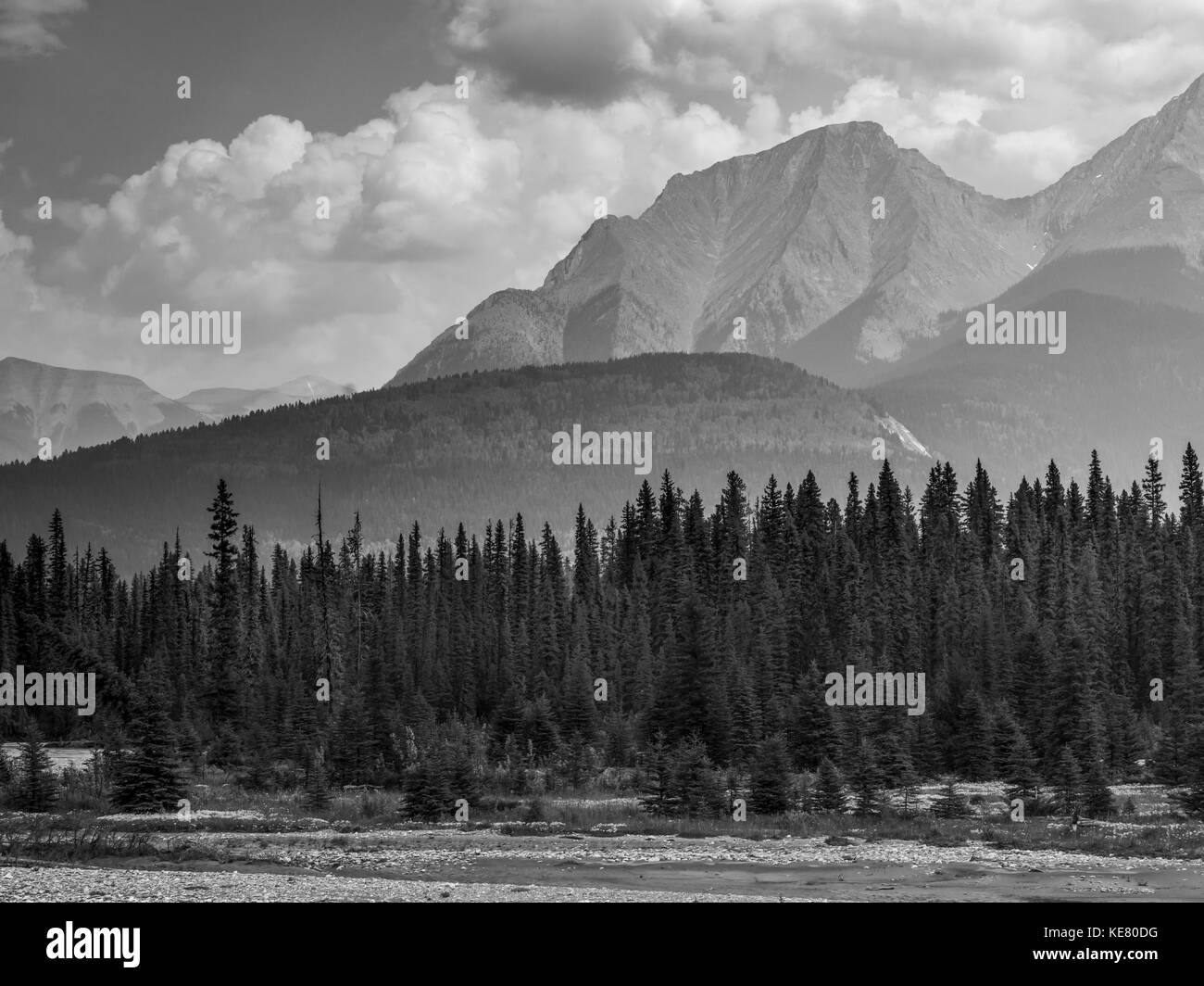 Paysage noir et blanc des montagnes rocheuses canadiennes robuste avec une forêt et une rivière au premier plan ; Invermere (Colombie-Britannique), Canada Banque D'Images
