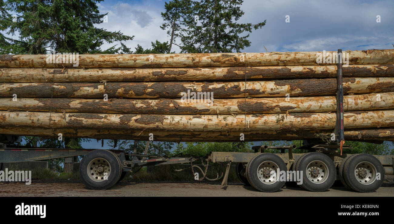 Les grosses billes chargées sur un camion de transport ; Riondel, British Columbia, Canada Banque D'Images