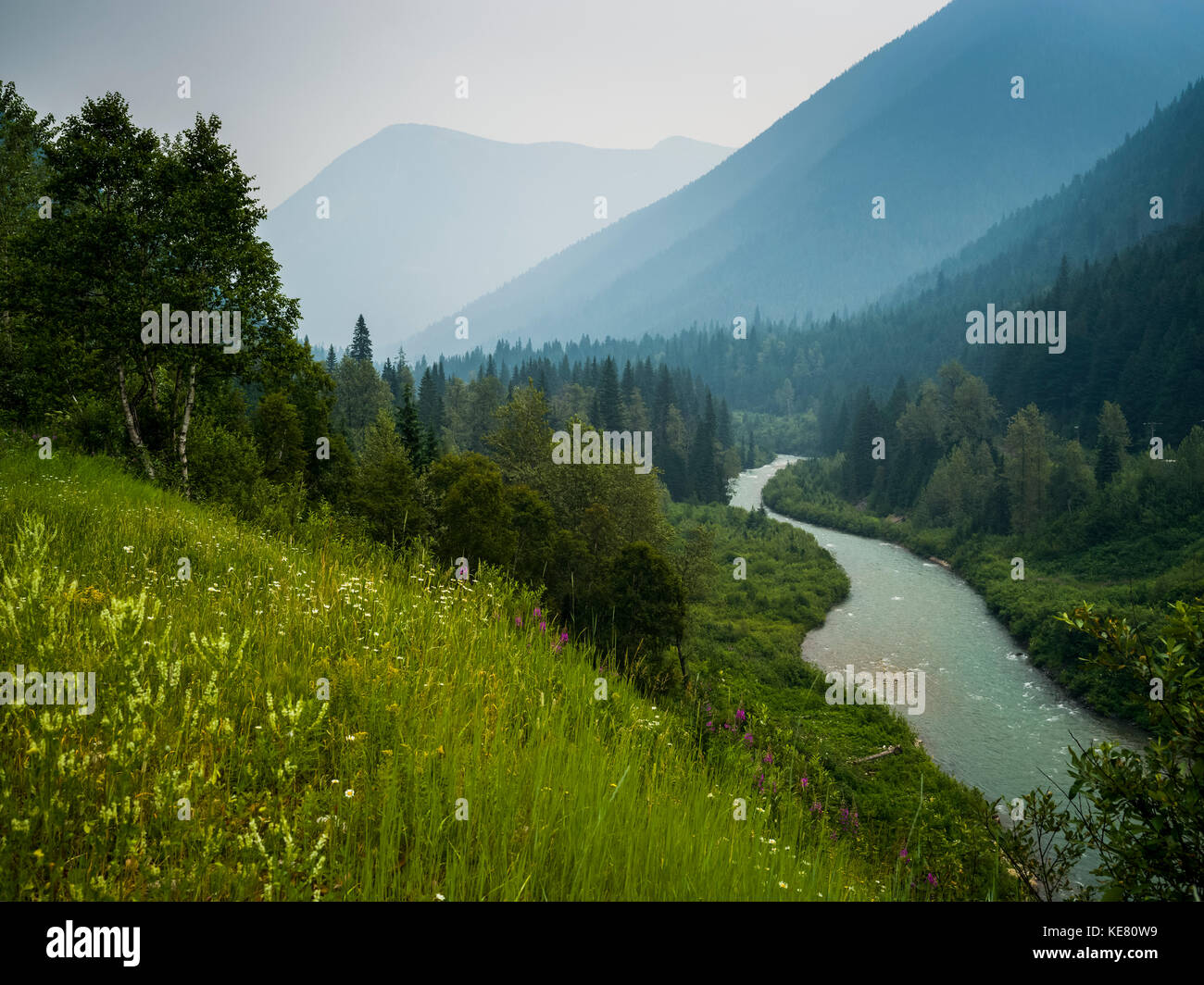 La rivière Columbia, qui coule à travers les montagnes Selkirk de forêts et de fleurs sauvages sur les pentes, Revelstoke, British Columbia, Canada Banque D'Images