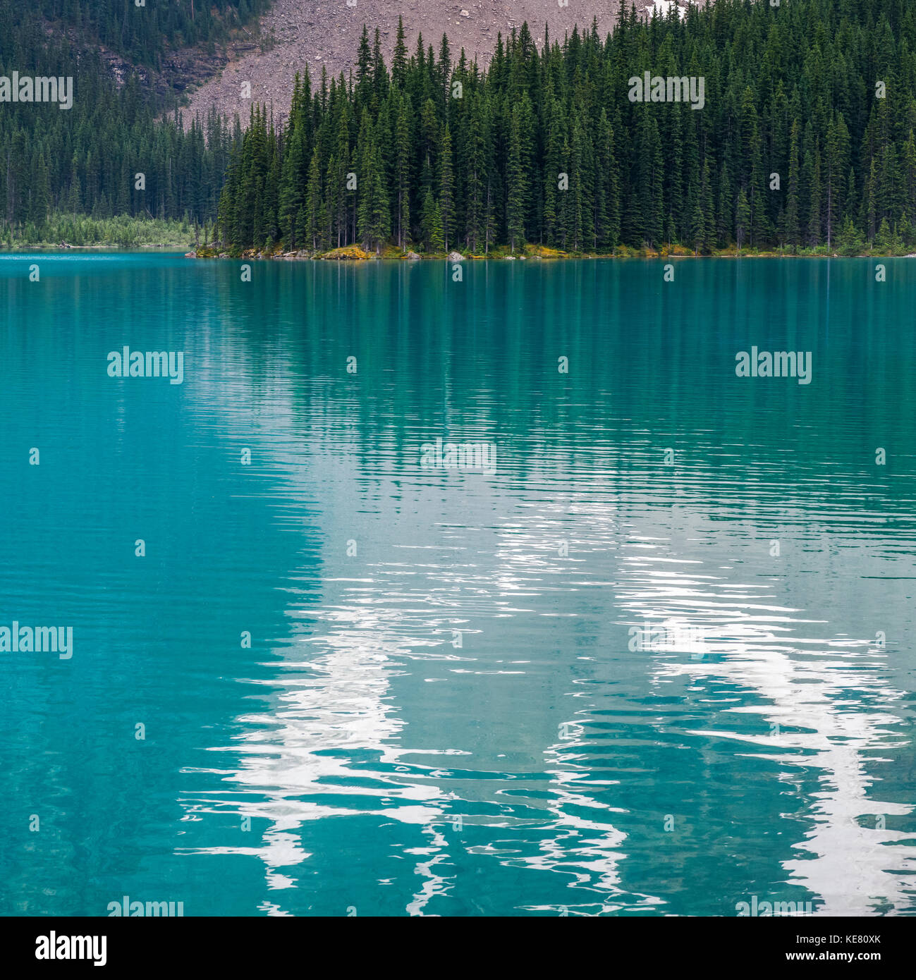 Le bleu de l'eau du lac Moraine avec une forêt le long du rivage reflète dans l'eau tranquille dans le parc national de Banff Banque D'Images