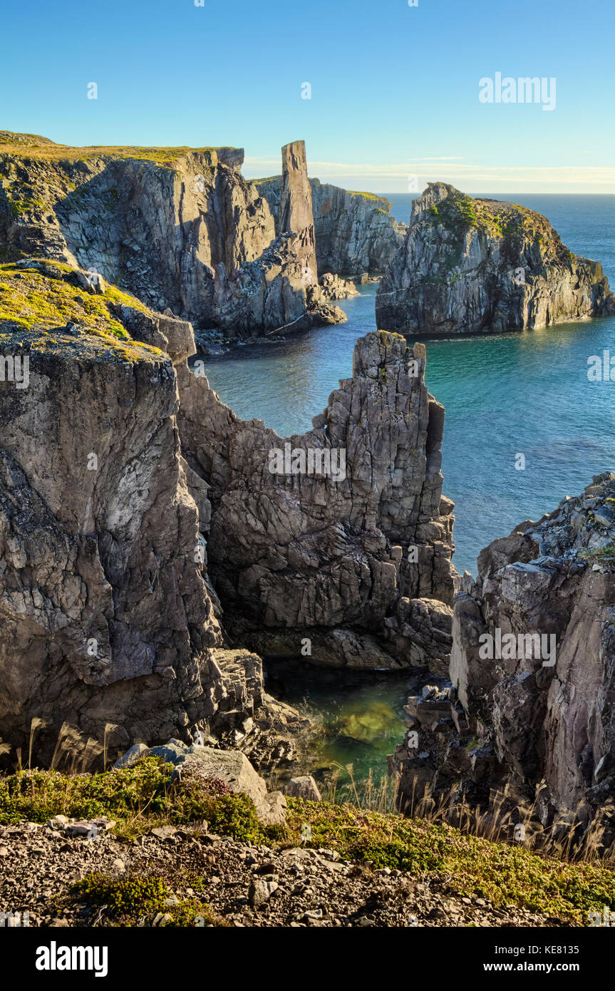 Falaises escarpées le long de la côte Atlantique, Terre-Neuve, Canada Banque D'Images