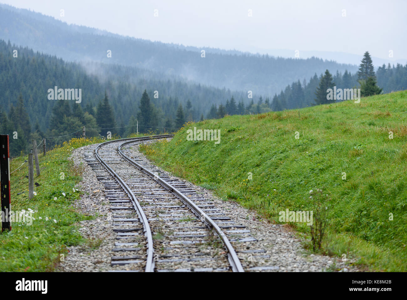 Des voies de chemin de fer ondulé en milieu humide journée d'été en forêt avec pré vert à l'horizon Banque D'Images