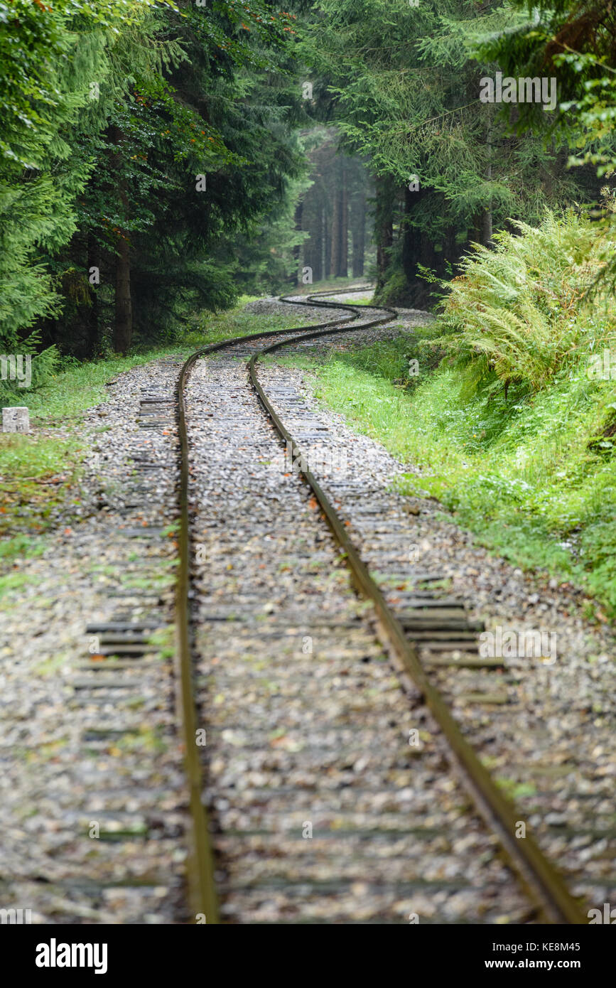 Des voies de chemin de fer ondulé en milieu humide journée d'été en forêt avec pré vert à l'horizon Banque D'Images