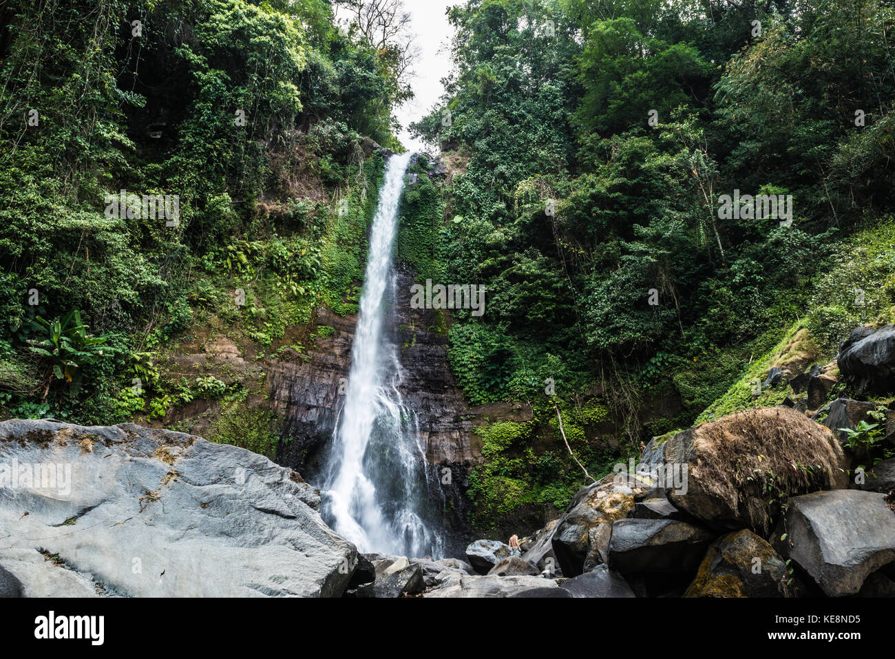 Belle cascade dans la forêt tropicale, Bali, ubud Banque D'Images