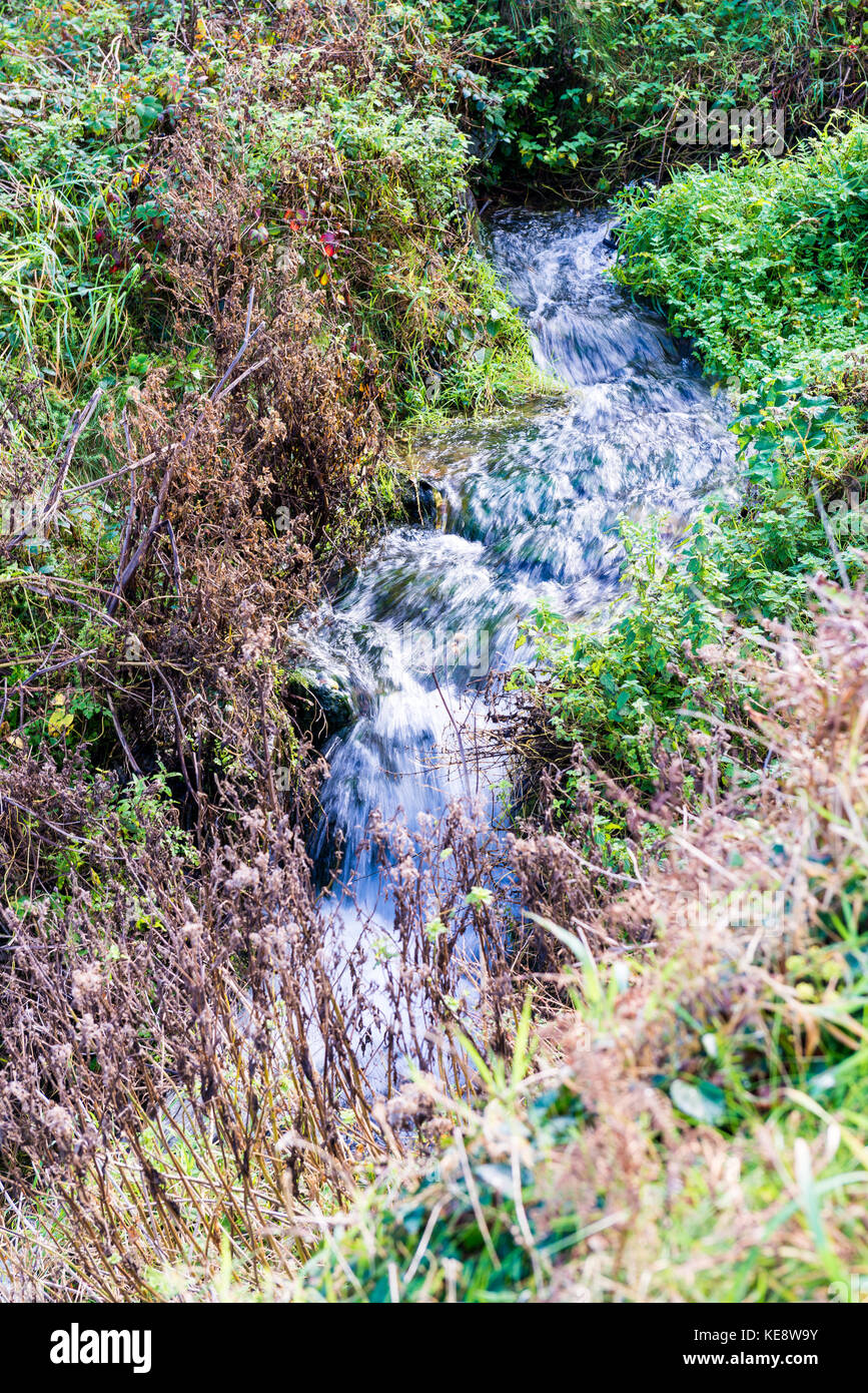 Le long d'un ruisseau en cascade de l'eau avec le flou d'insister sur la motion Banque D'Images