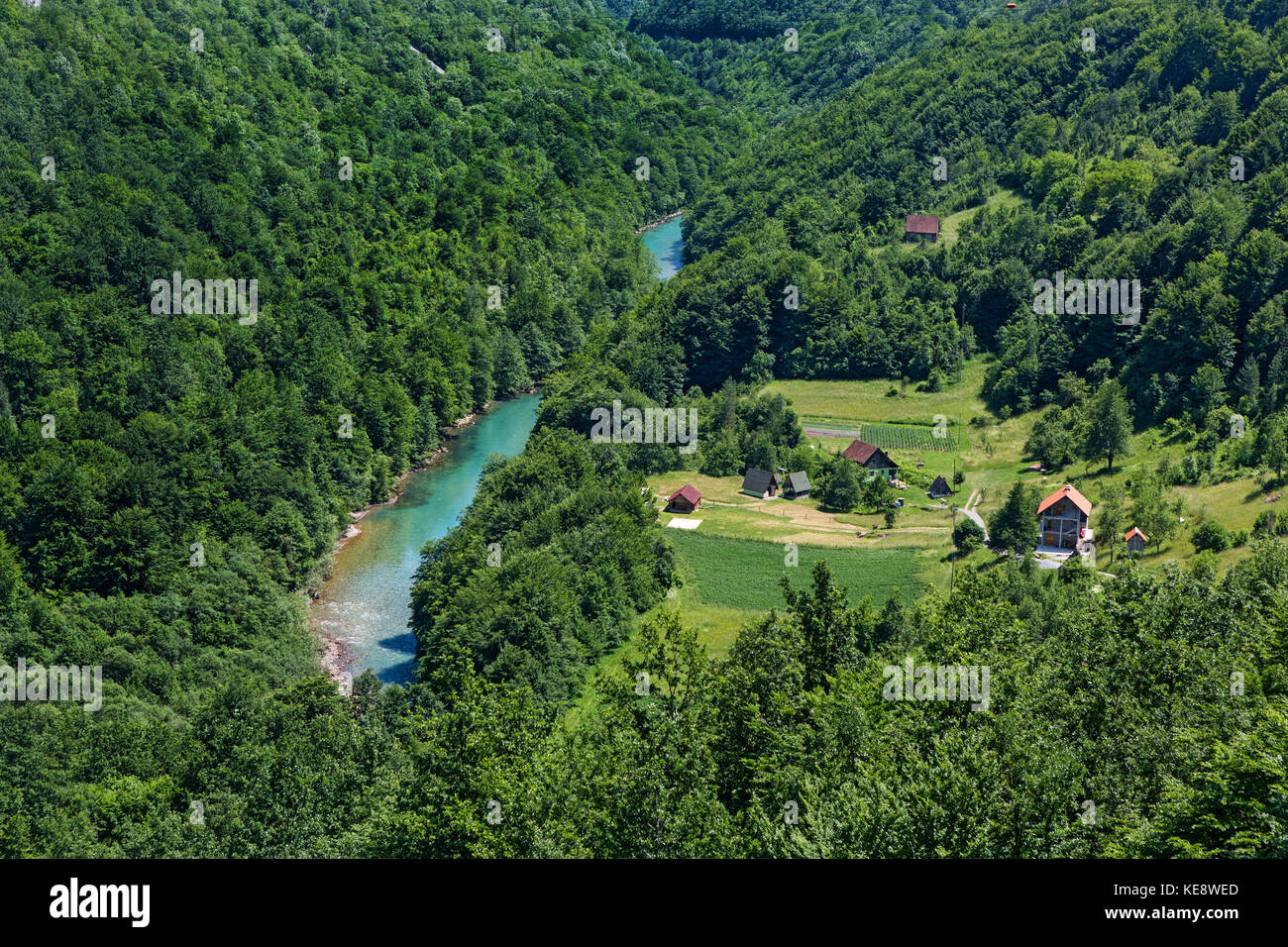 Beau canyon de la rivière Tara au Monténégro Banque D'Images