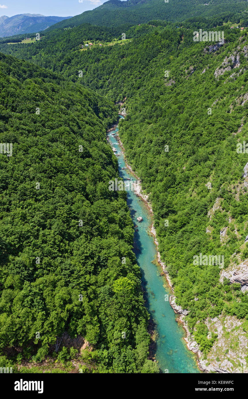 Beau canyon de la rivière Tara au Monténégro Banque D'Images