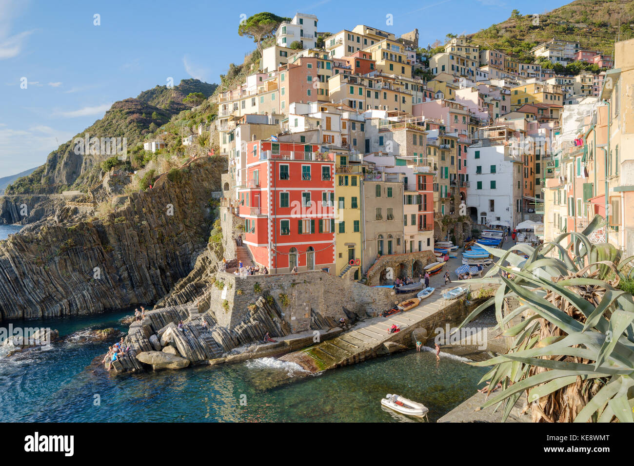 Vue sur la ville et le port avec ses maisons colorées à Riomaggiore, Cinque Terre, Ligurie, Italie Banque D'Images