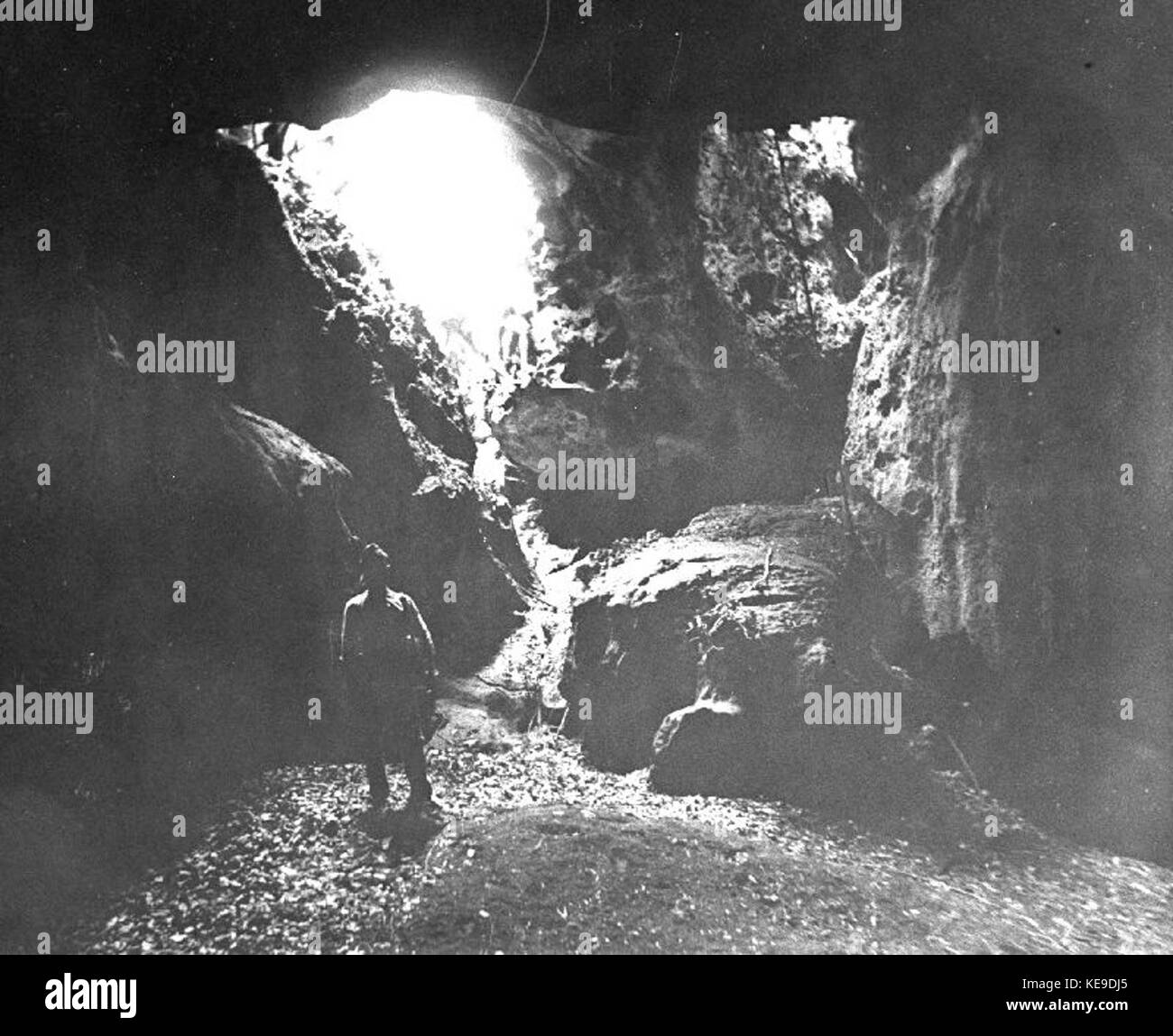 Bij, Ajapo Grot Sentani meer Collectie stichting Nationaal Museum van Wereldculturen TM 60015020 Banque D'Images