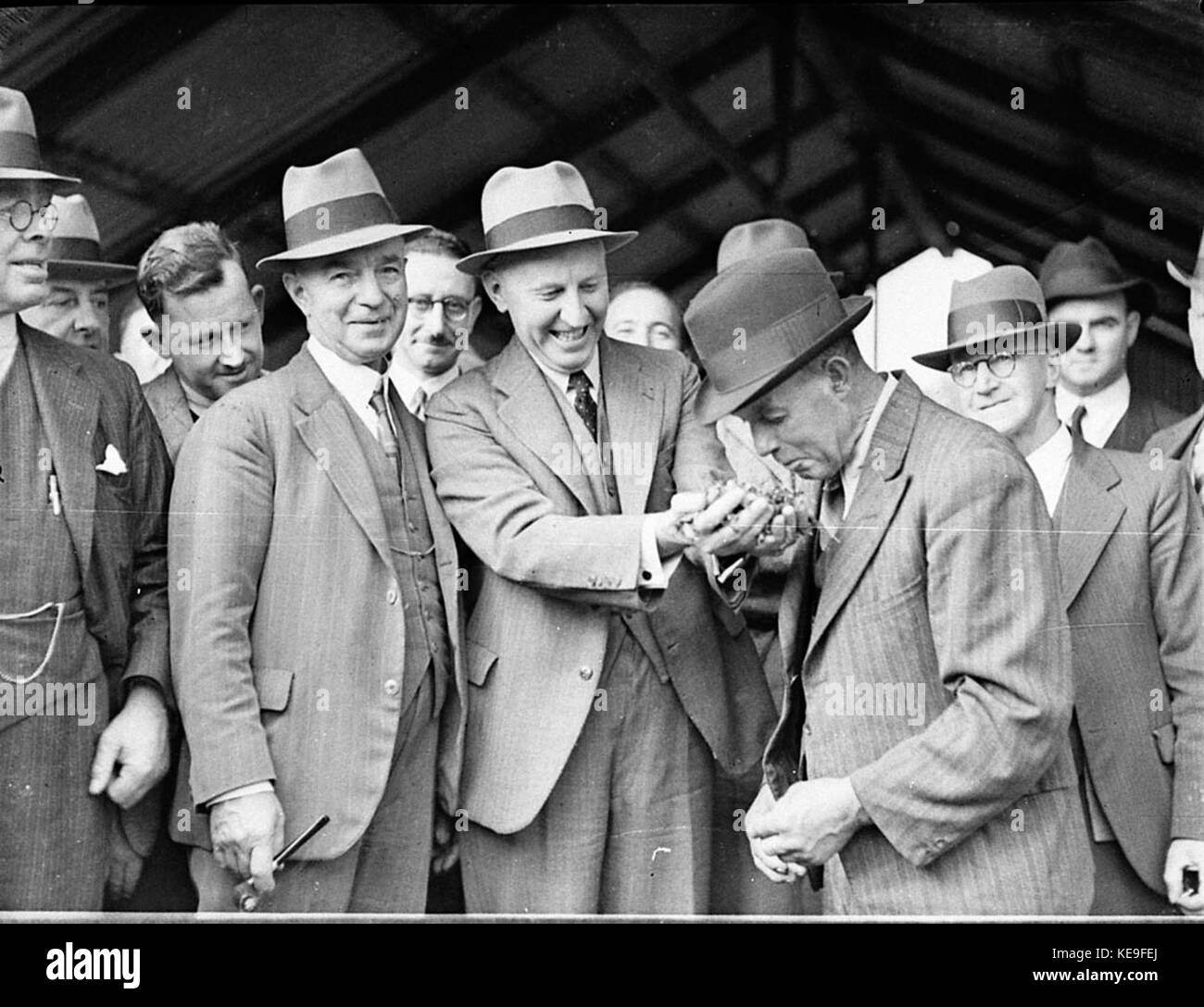 36628 Gilbulla Menangle Road Moreton Park Banque D'Images