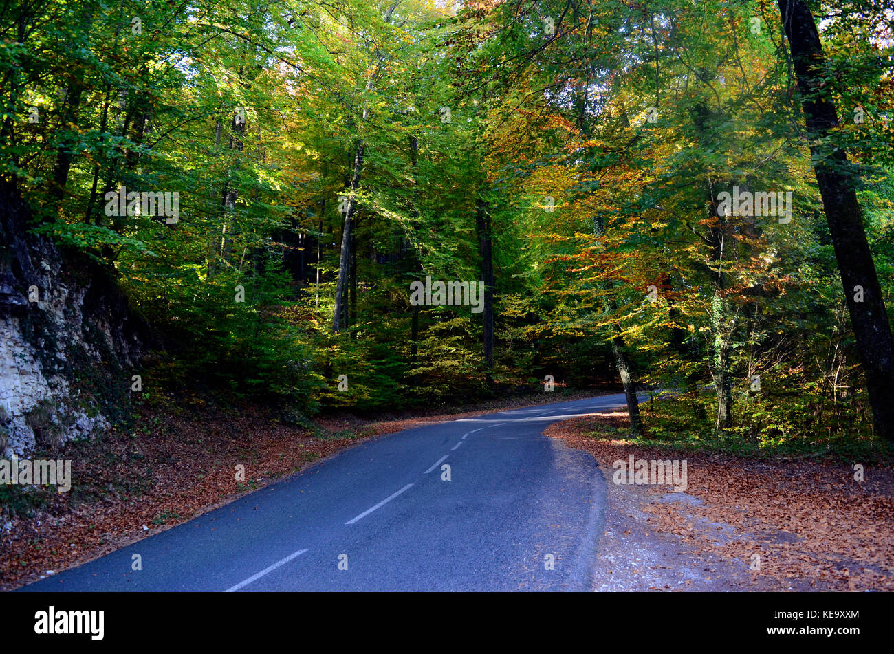 Bois d'automne, la forêt et les arbres à l'automne, et la route en montagne, Savoie, France Banque D'Images