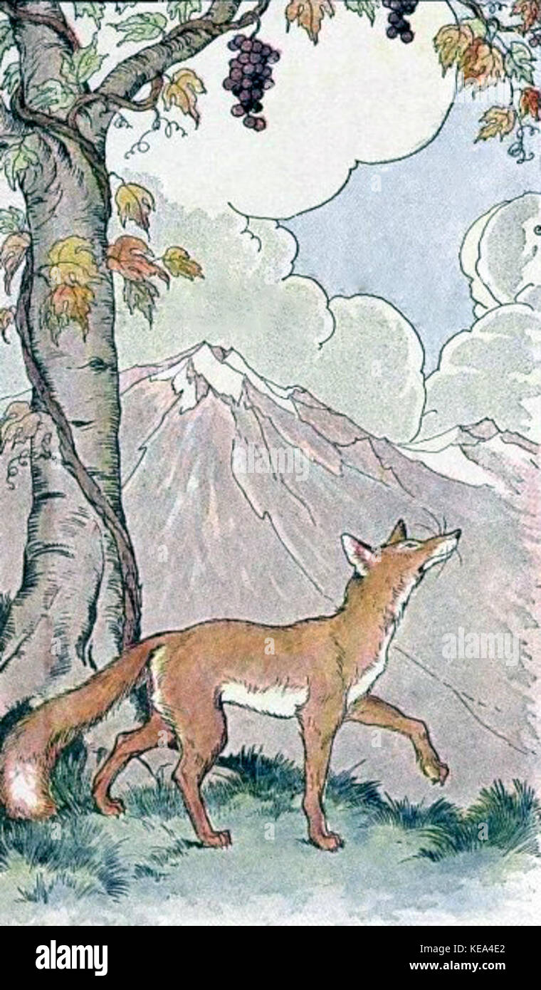 Le renard et les raisins Banque D'Images