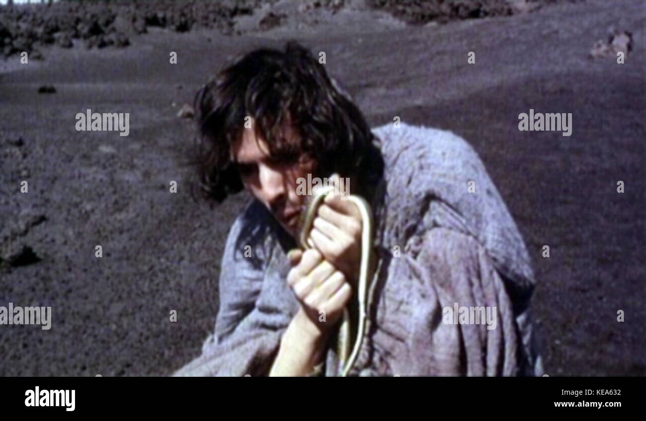 Porcile1 Banque D'Images