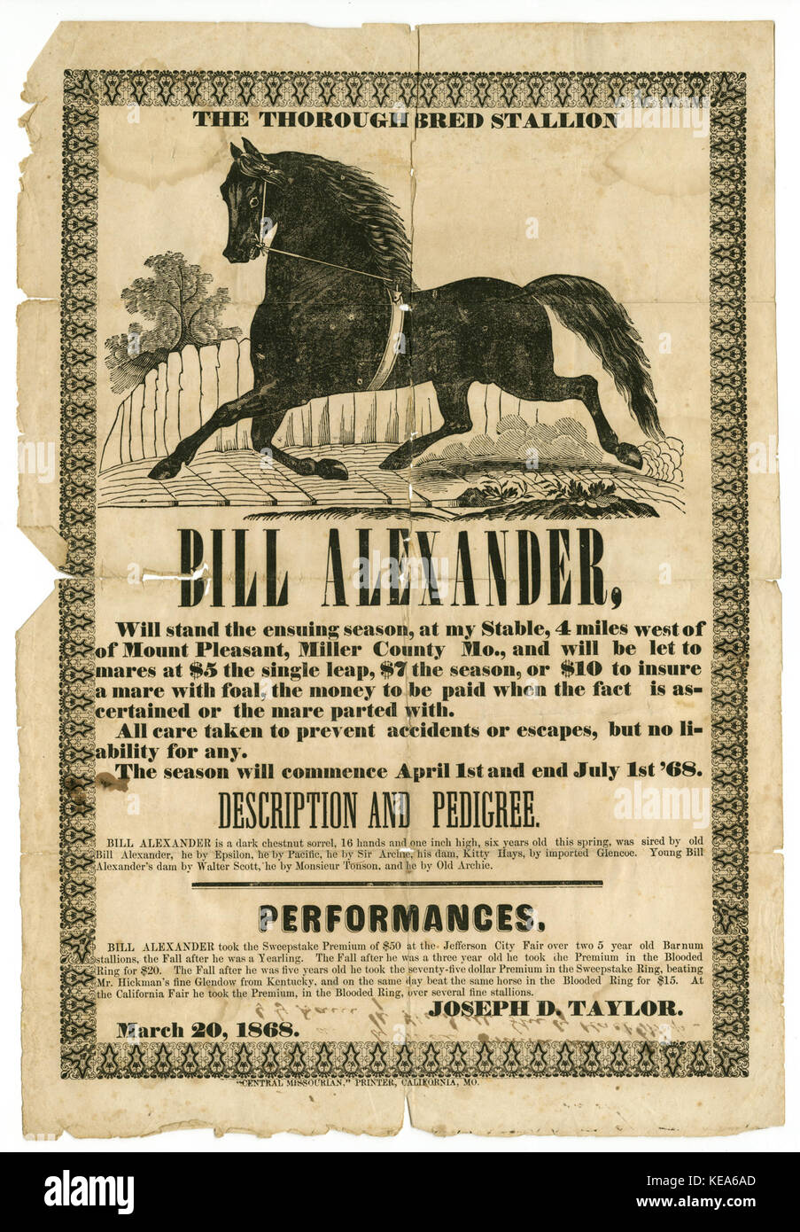 Poster de chevaux offrant de loi Alexander, avec coupe d'étalon, le 20 mars 1868 Banque D'Images