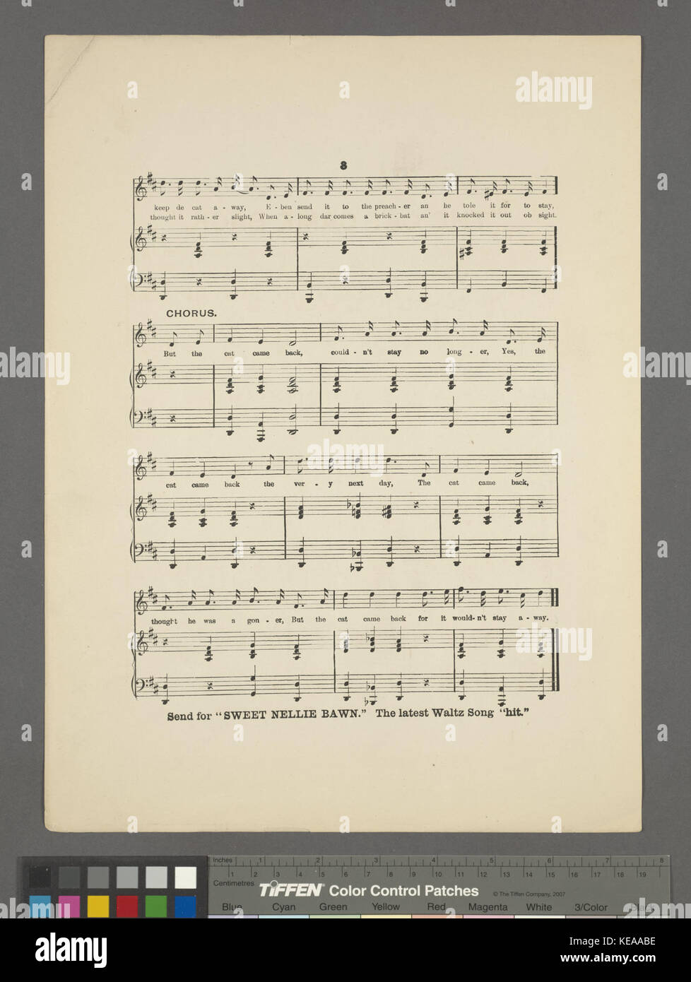 Le chat est revenu (NYPL Hadès 4491351690562) Banque D'Images