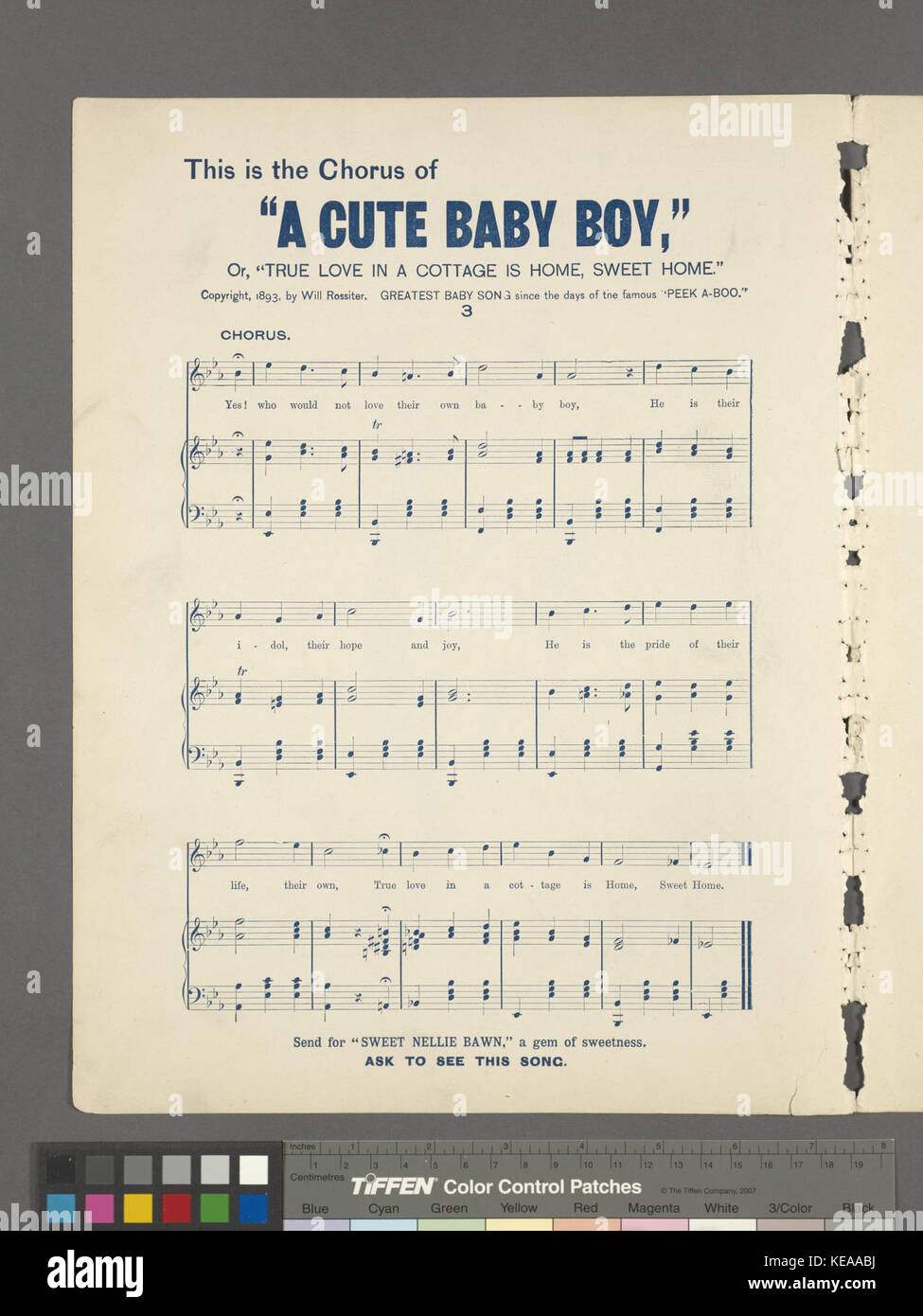 Le chat est revenu (NYPL Hadès 4491361690565) Banque D'Images