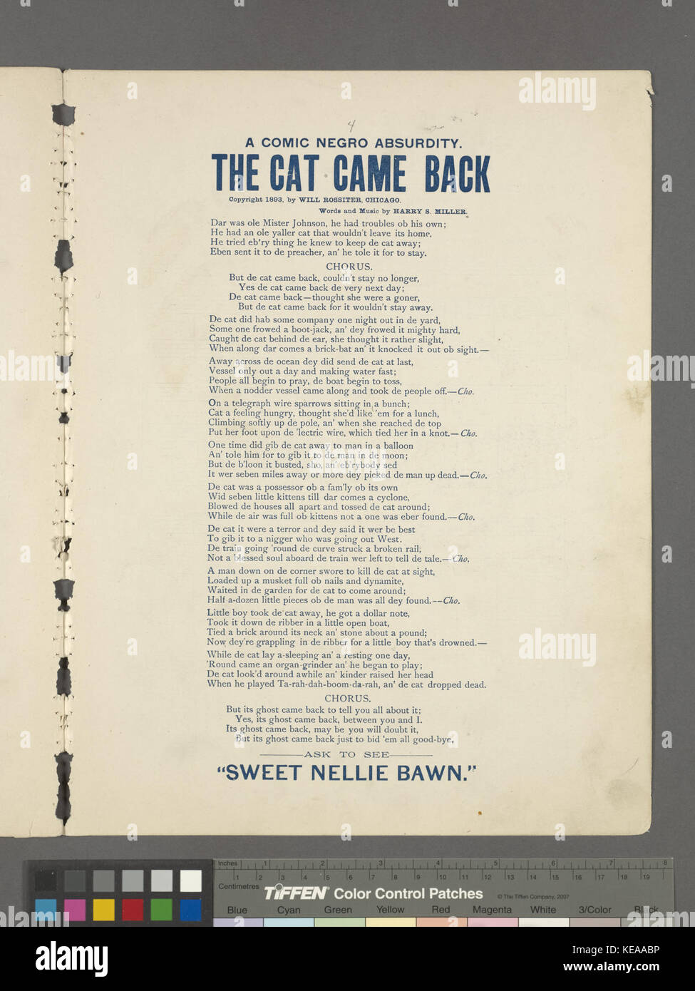 Le chat est revenu (NYPL Hadès 4491361690568) Banque D'Images