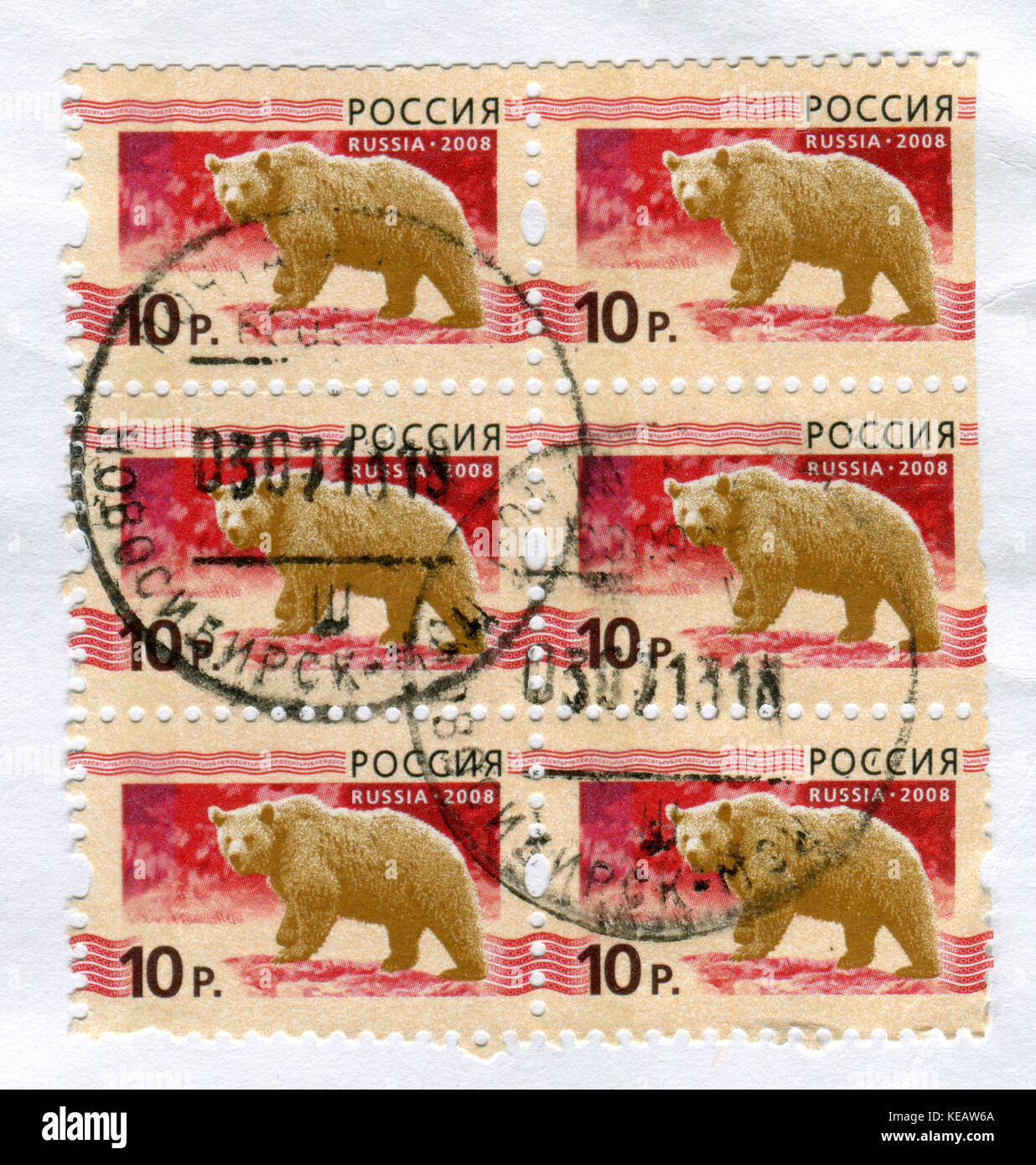 Gomel, Bélarus, 13 octobre 2017, de timbres en Russie montre image de l'ours, circa 2008. Banque D'Images