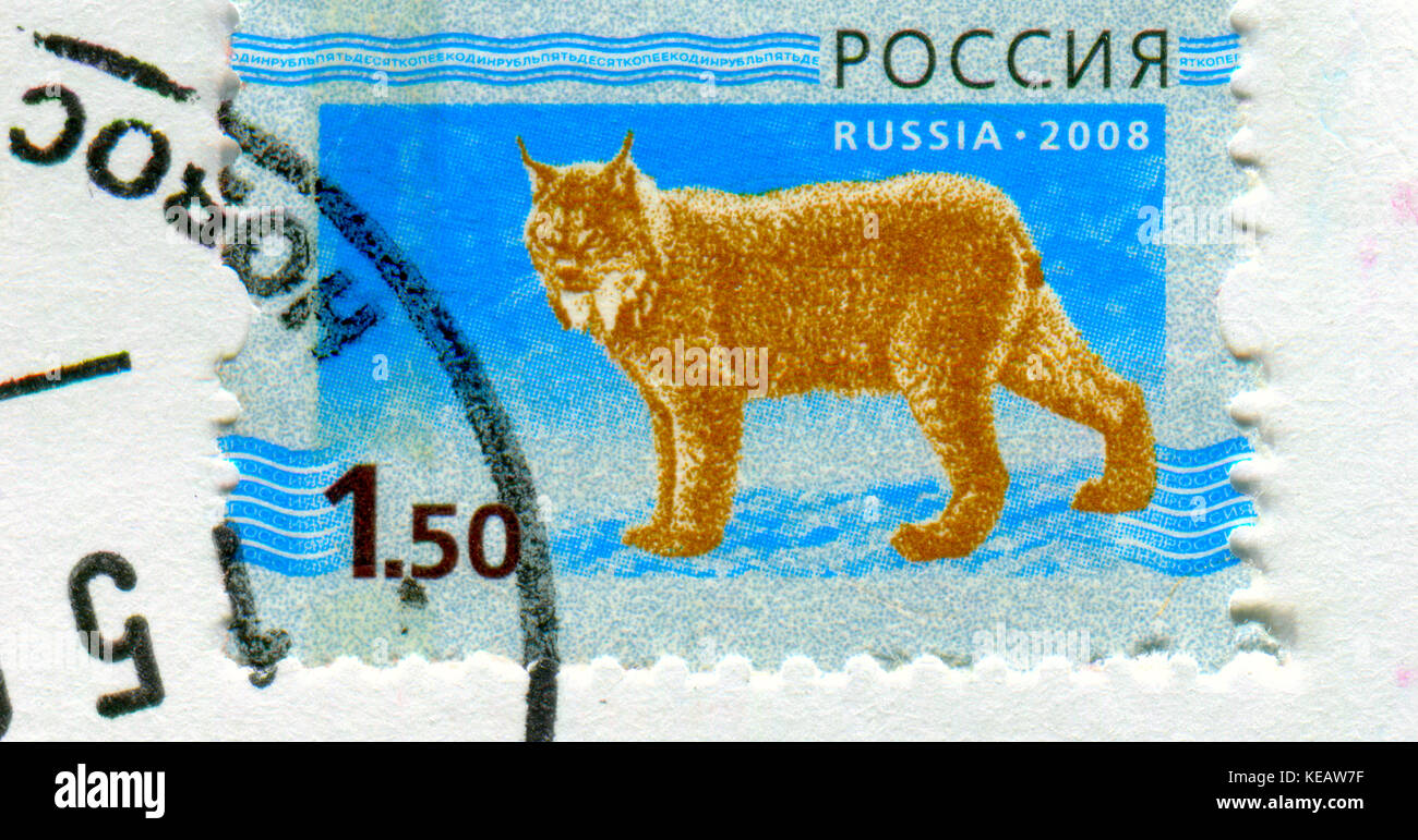 Gomel, Bélarus, 13 octobre 2017, de timbres en Russie montre image du lynx, circa 2008. Banque D'Images