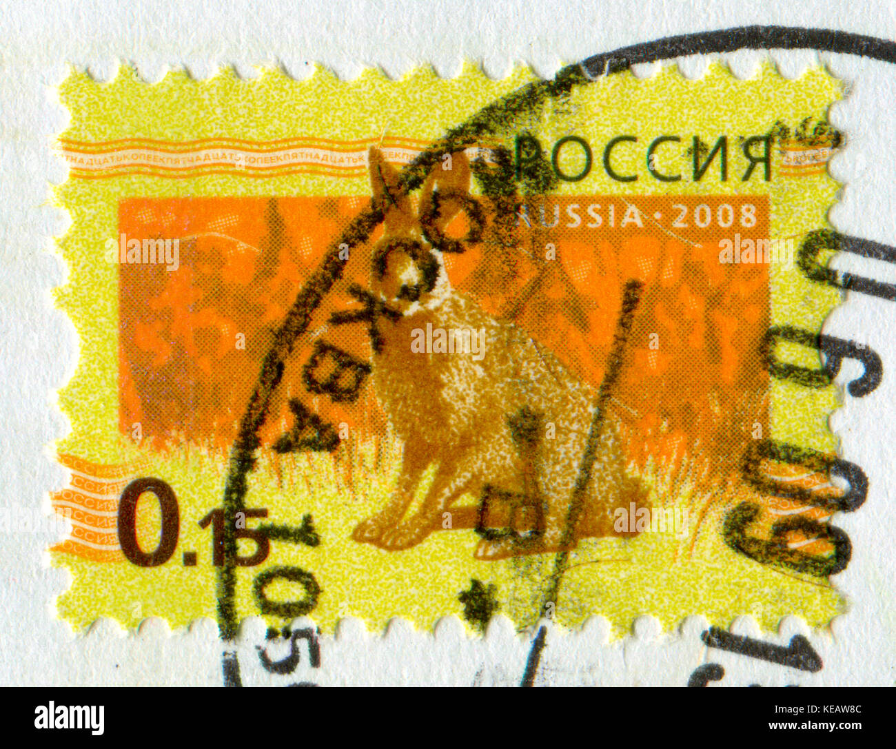 Gomel, Bélarus, 13 octobre 2017, de timbres en Russie montre image de la Lièvre, circa 2009. Banque D'Images