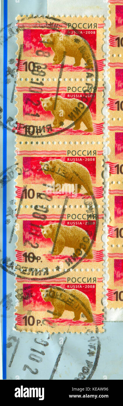 GOMEL, BÉLARUS, 13 OCTOBRE 2017, Timbre imprimé en Russie montre l'image des ours, vers 2008. Banque D'Images