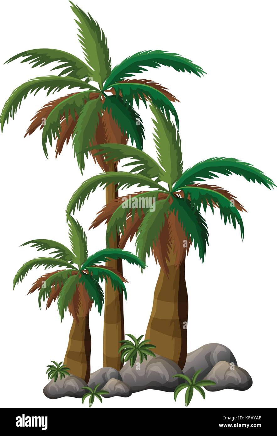 Trois palmiers par les roches Illustration de Vecteur