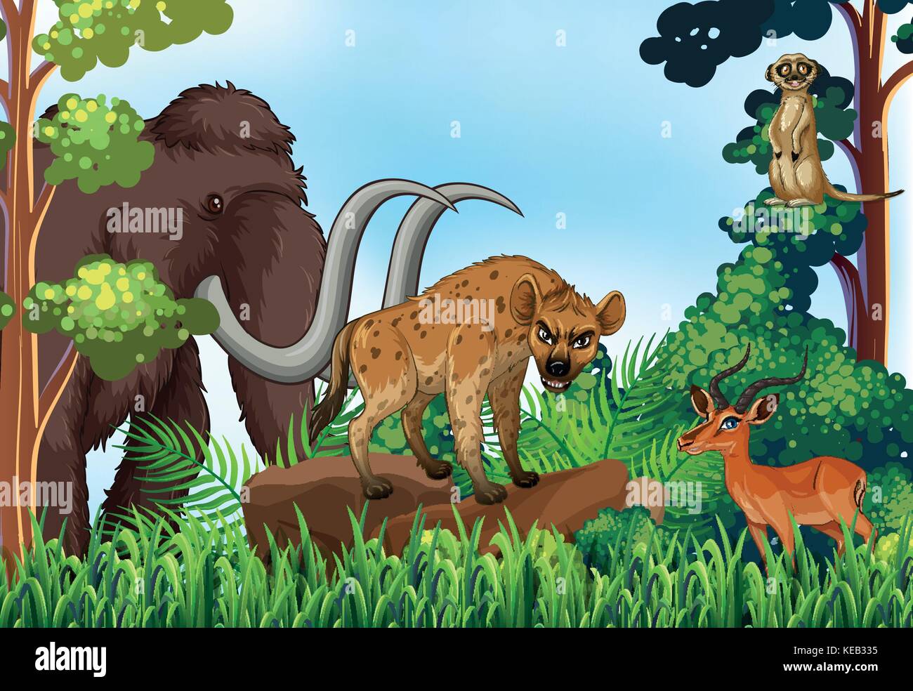 Différents types d'animaux dans la jungle Illustration de Vecteur