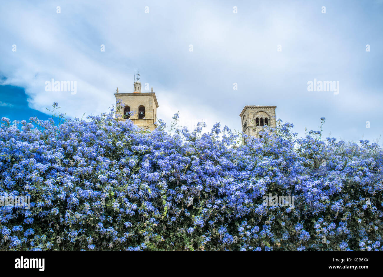 Église de Santa Maria la Mayor tours, Trujillo, Espagne. Vue du centre-ville rue pleine de fleurs violettes Banque D'Images