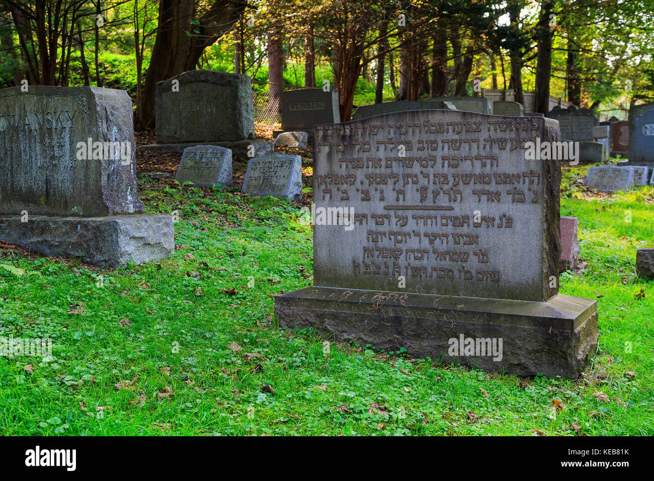 Décorations et ornements d'une promenade dans un cimetière juif à troy ny Banque D'Images
