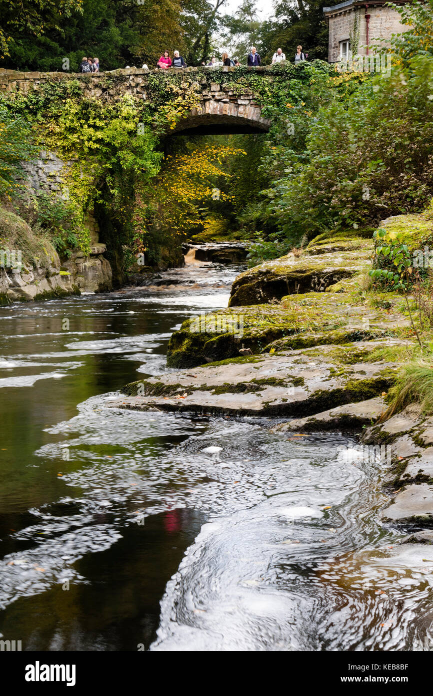 Les Producteurs laitiers pont à rencontre des eaux à l'automne, Rokeby, Teesdale, County Durham, Royaume-Uni Banque D'Images