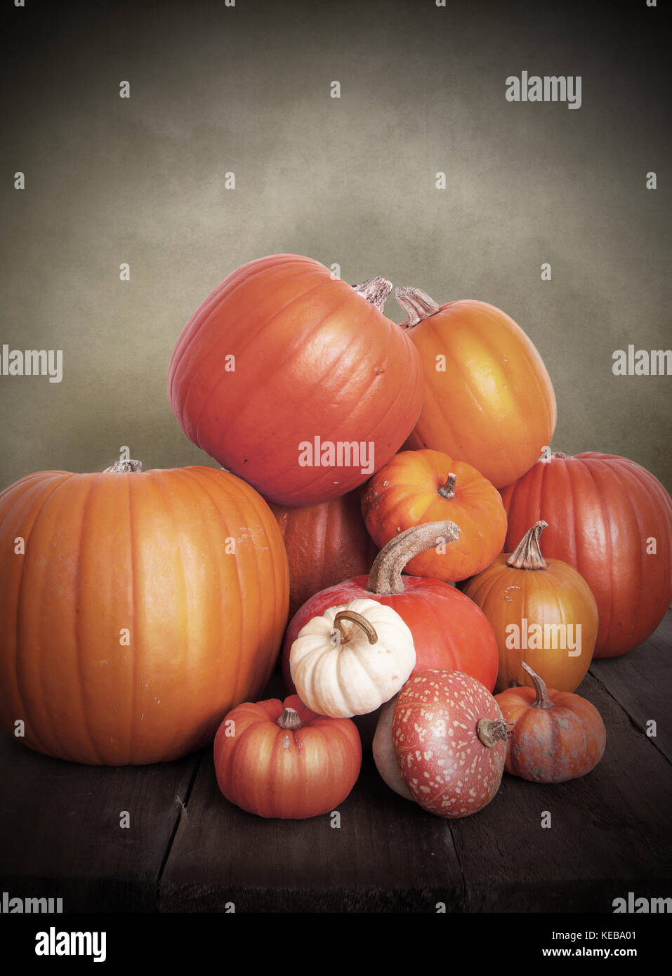 Pumpkins vintage Banque D'Images