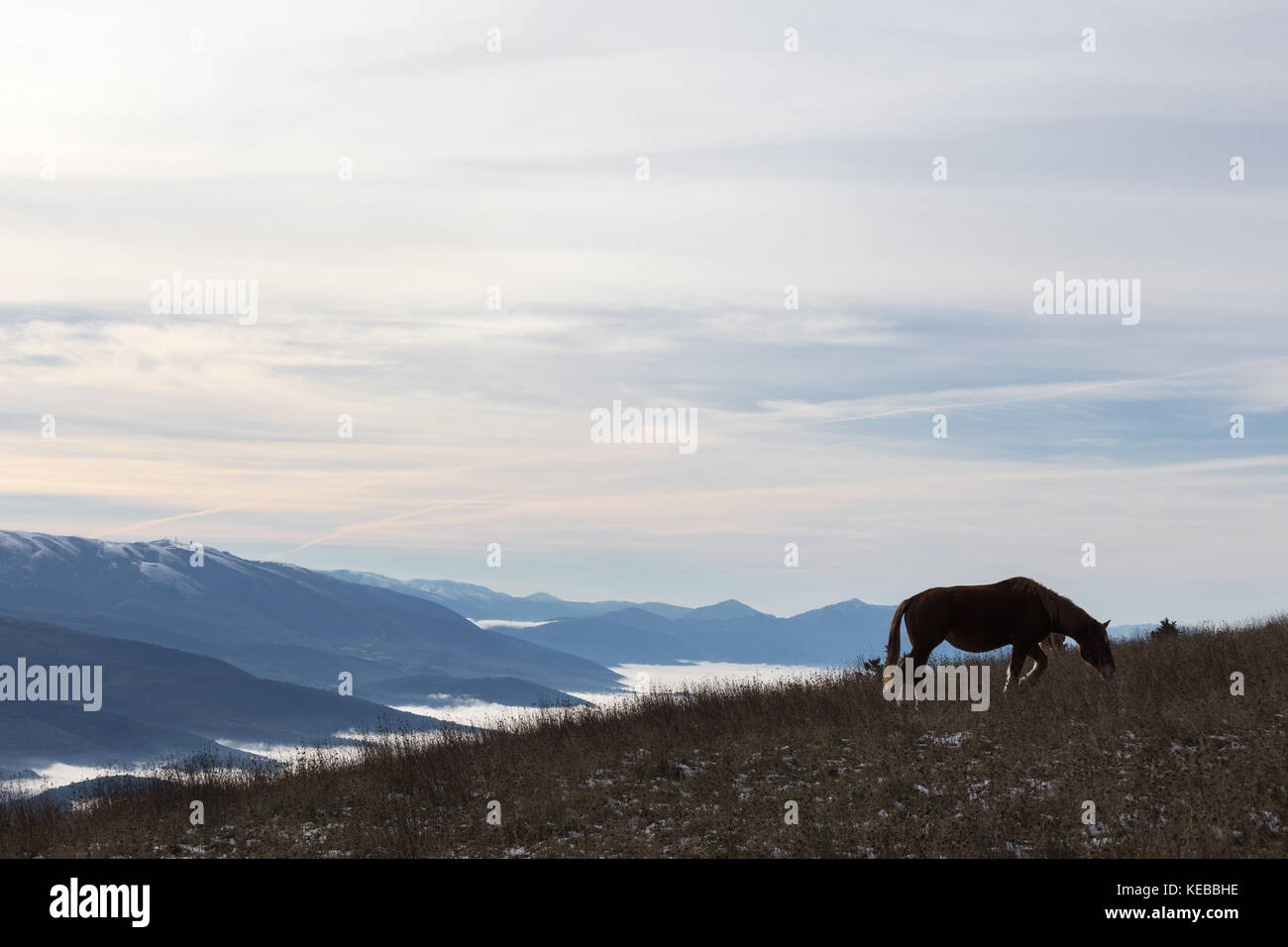 Un cheval rétroéclairé, mange de l'herbe, au sommet d'une montagne, avec quelques montagnes brumeuses et lointain sur l'arrière-plan Banque D'Images