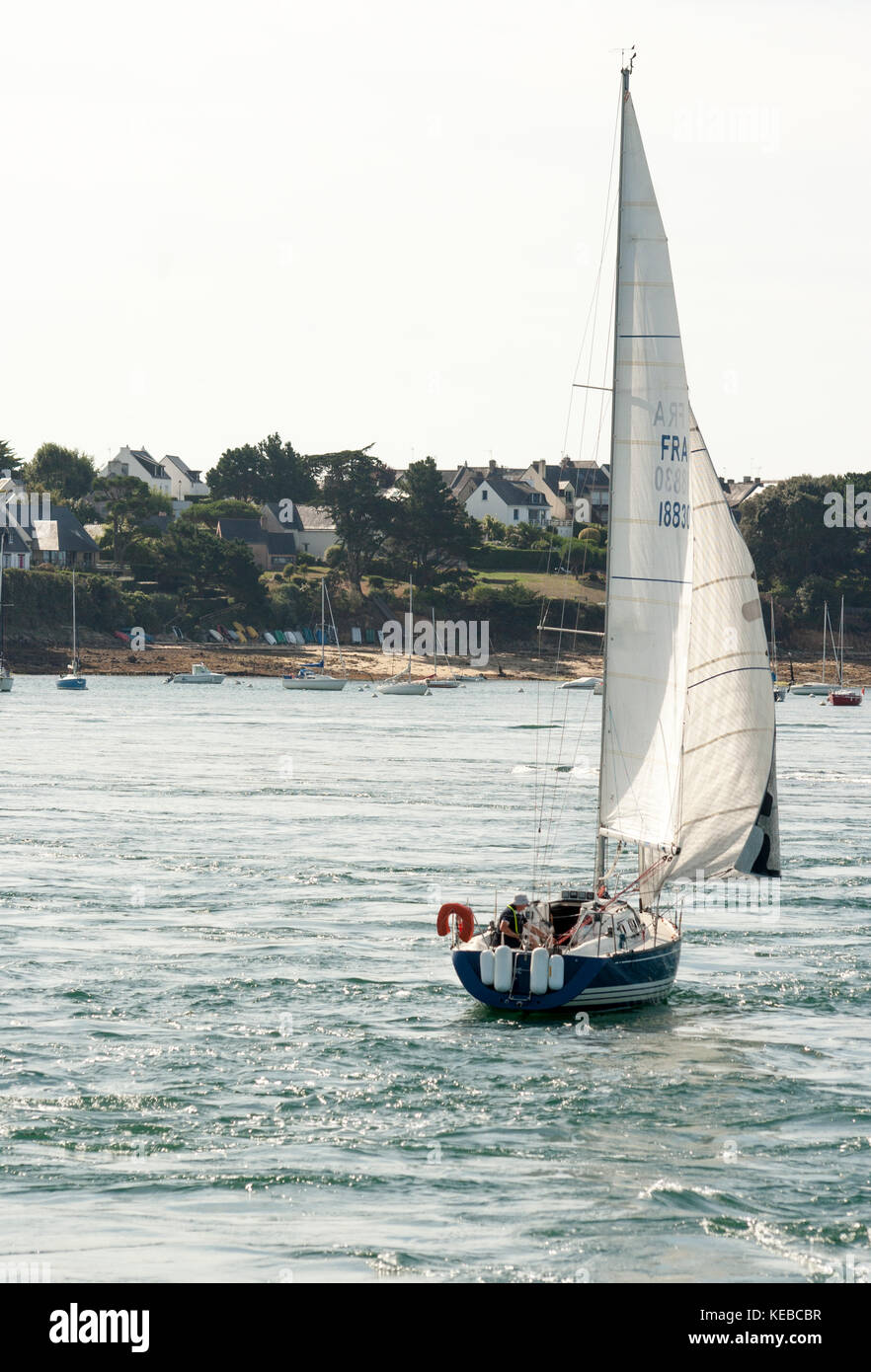 Voilier en côte de morbihan, Bretagne, Bretagne, France Banque D'Images