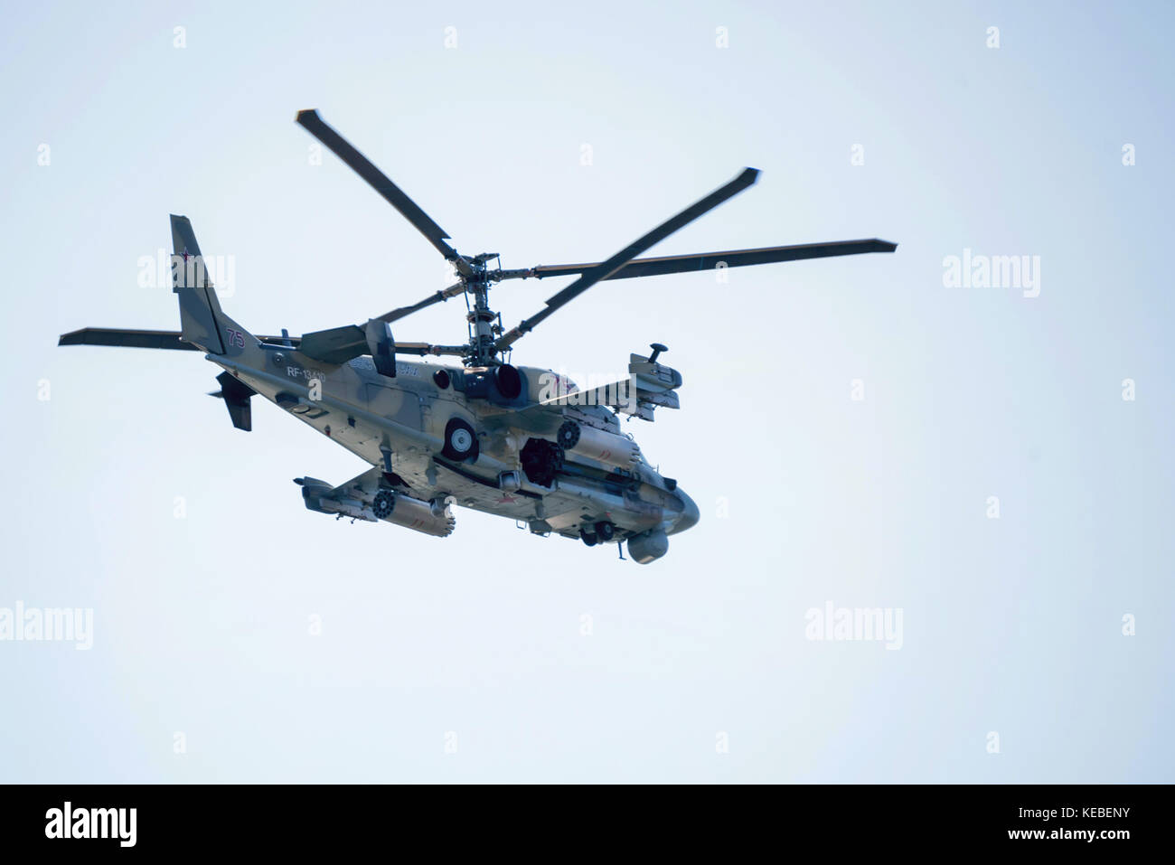 Rostov-sur-Don, Russie - août, 2017 : Kamov KA-52 Banque D'Images