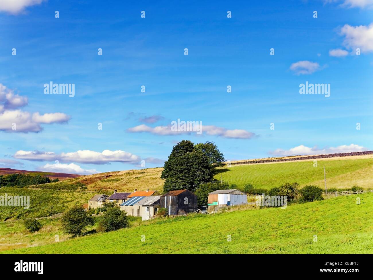 Une vue d'été d'un groupe de bâtiments agricoles et d'arbres sur Danby Low Moor dans le North Yorkshire Moors, l'Angleterre. Banque D'Images Une vue d'été d'un groupe de bâtiments agricoles et d'arbres sur Danby Low Moor dans le North Yorkshire Moors, l'Angleterre. Banque D'Images
