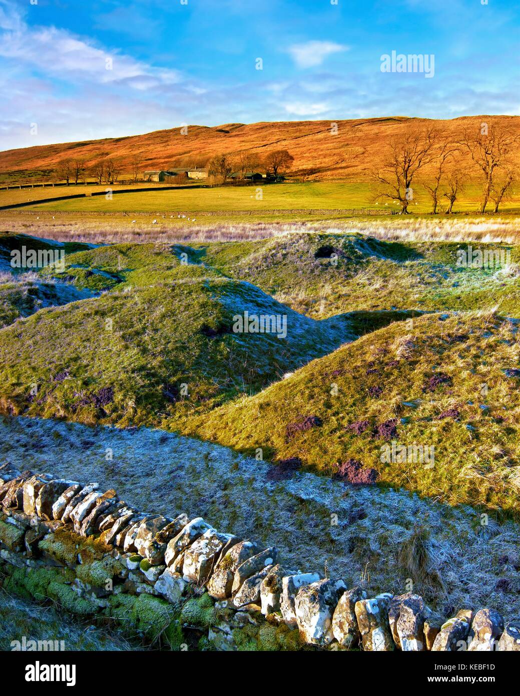 Une vue d'hiver le paysage vallonné de Northumberland, dans le nord de l'Angleterre, Royaume-Uni Banque D'Images