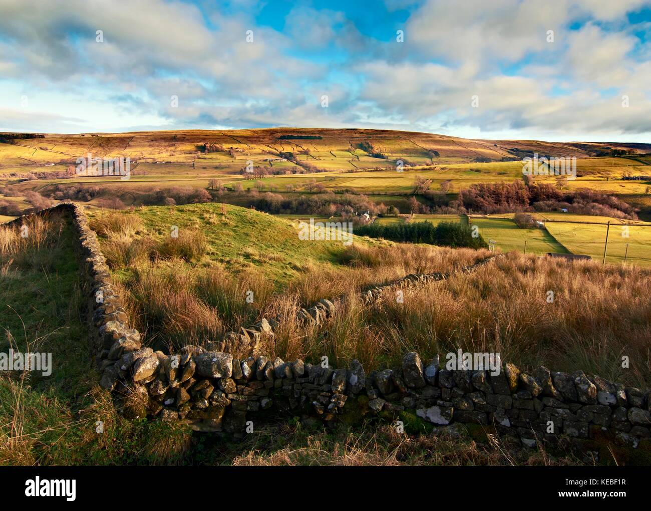 Un automne vue sur les collines et les landes de Northumberland, dans le nord de l'Angleterre Banque D'Images