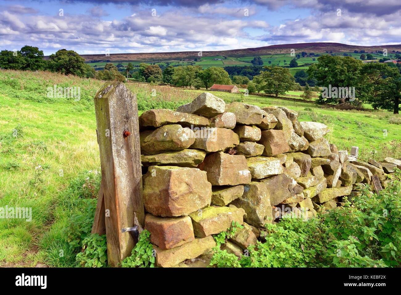 Un mur en pierre sèche traditionnelle sur Westerdale Moor dans le North Yorkshire Moors, Angleterre Banque D'Images