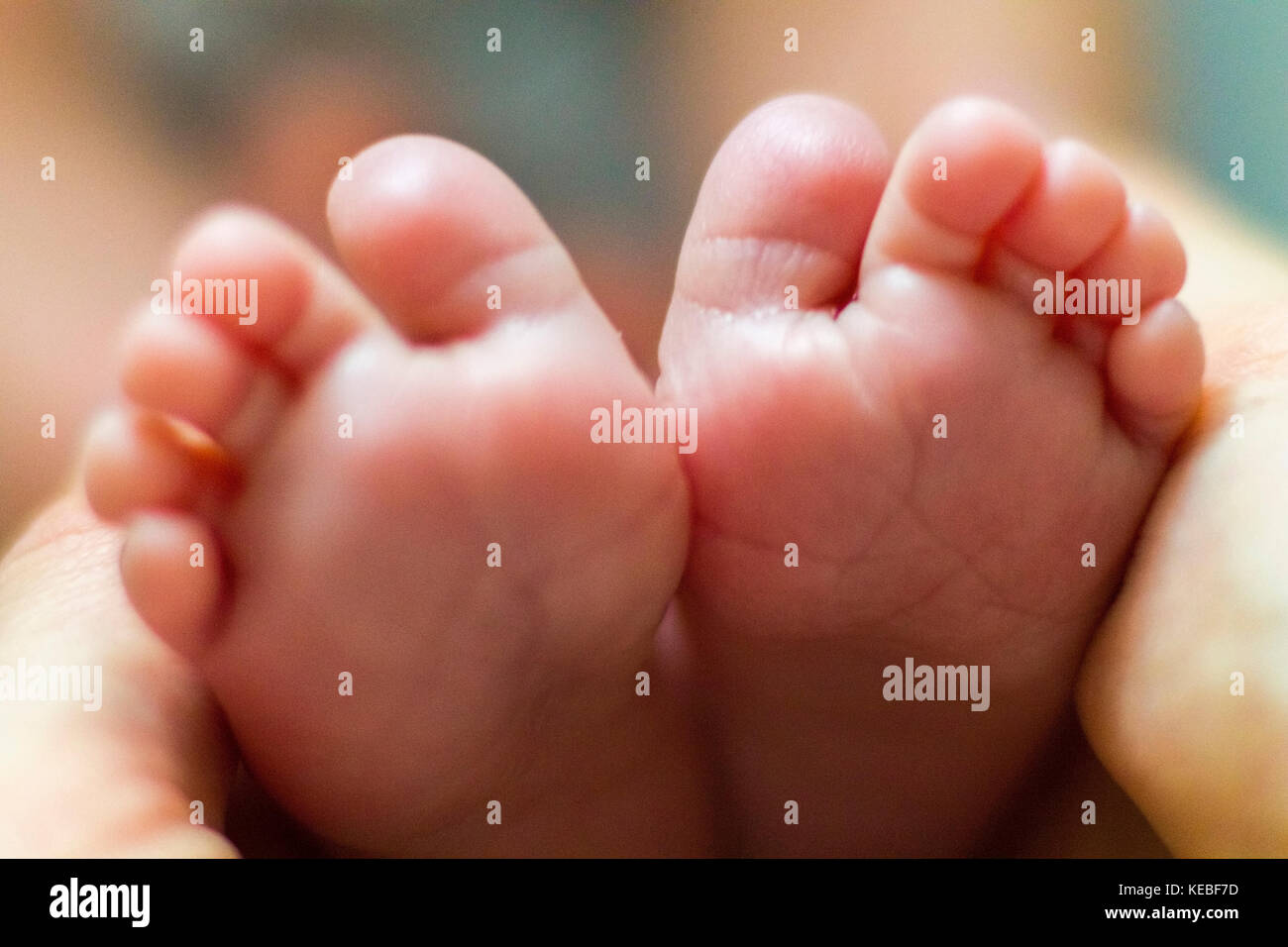 Les petits pieds de bébé avec soft focus Banque D'Images