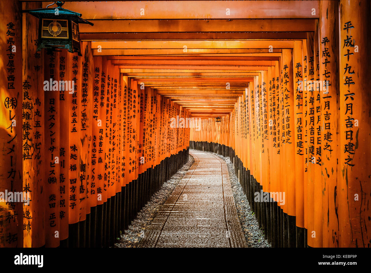 Certains des 10 000 + tori barrières au Sanctuaire Fushimi Inari à Kyoto, Japon Banque D'Images
