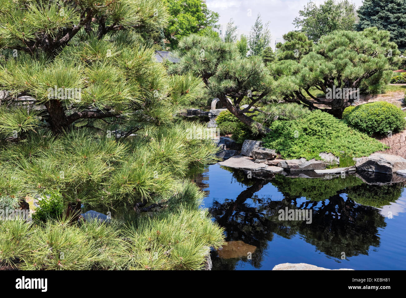 jardin japonais Banque D'Images